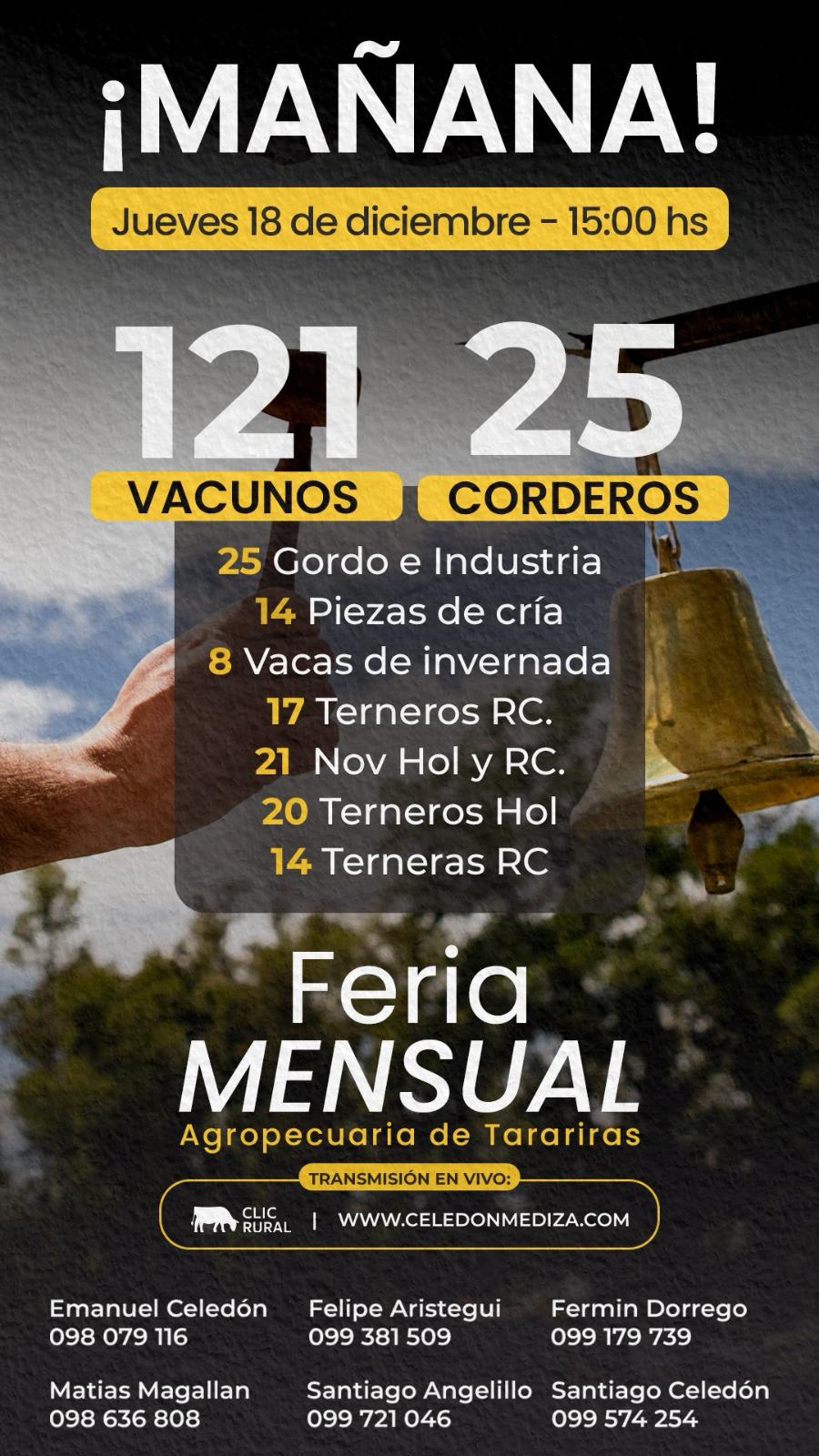 Afiche Feria Mensual - Celedon Mediza