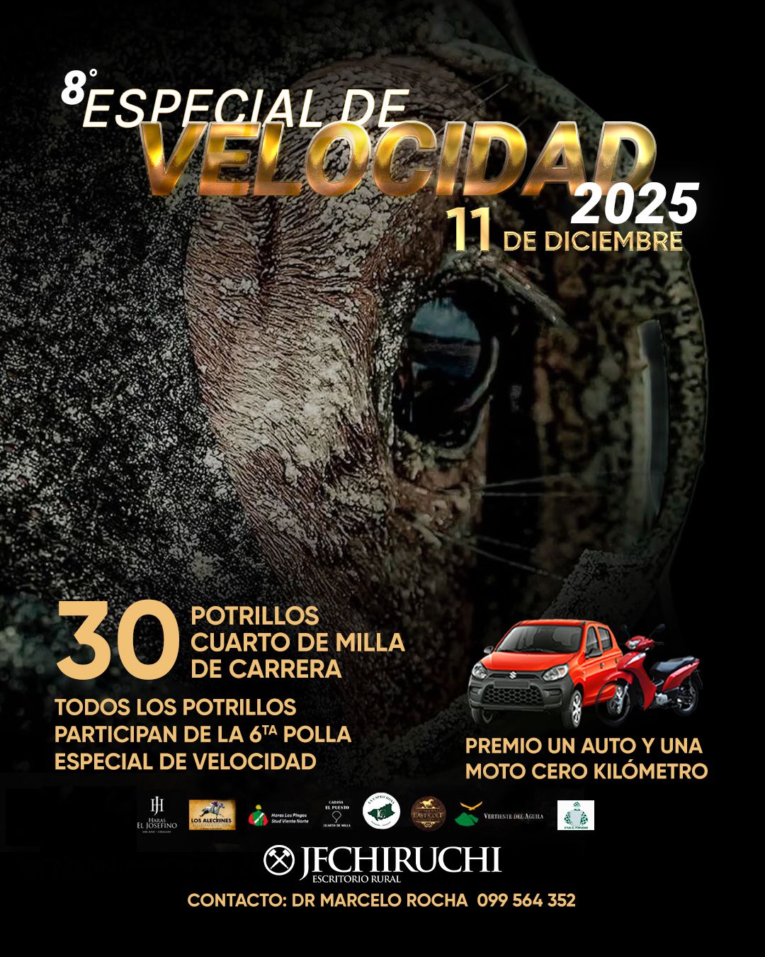 8º Especial de Velocidad