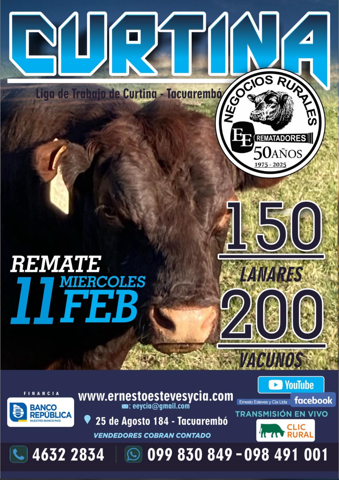 Remate 11 de Febrero - Liga de Trabajo de Curtina