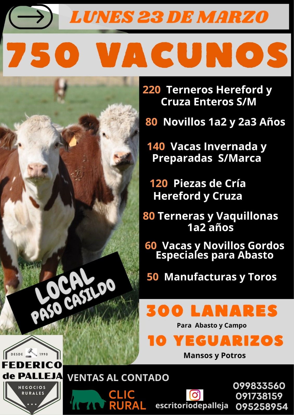 Remate Feria Mensual - Federico de Palleja