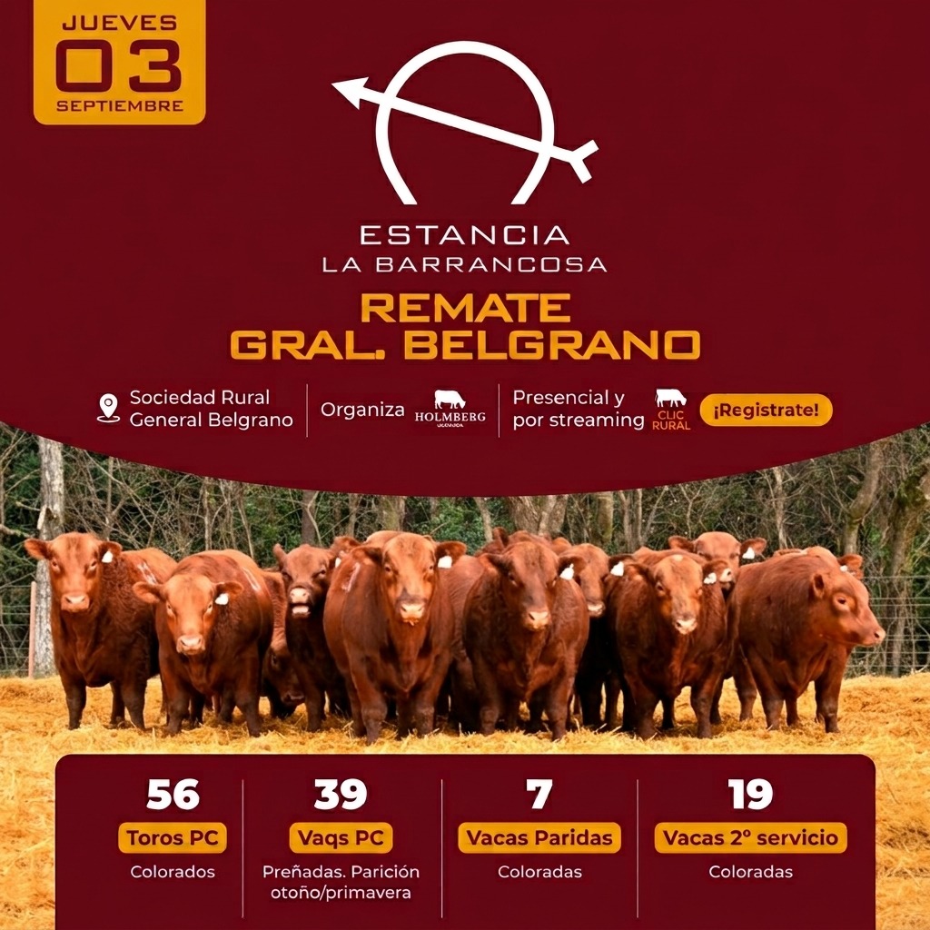 Afiche 3er Remate General Belgrano