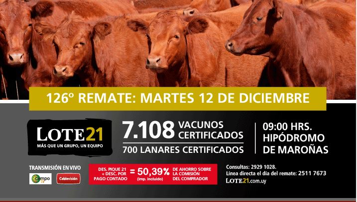 Afiche 126º Remate Lote 21