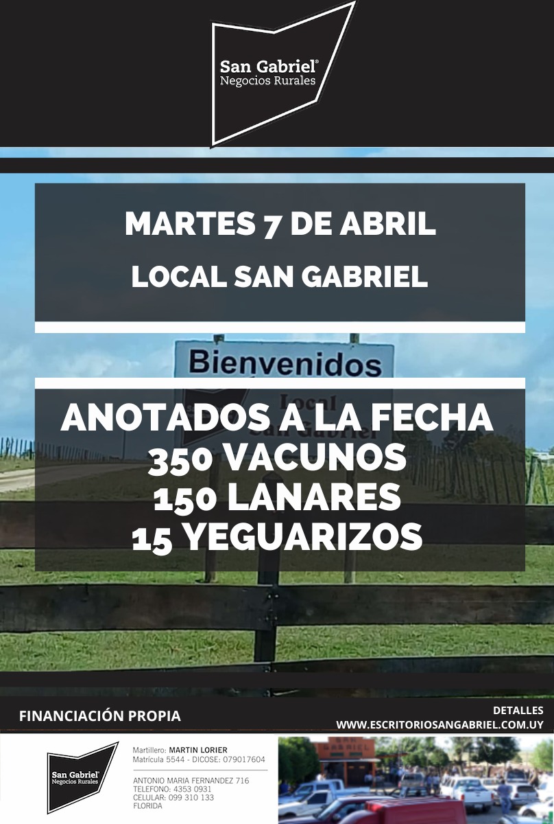 Feria en Local San Gabriel