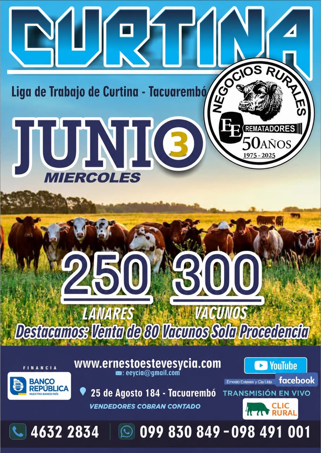 Feria Mensual - Curtina
