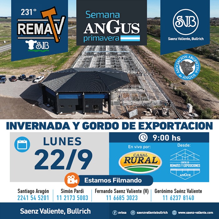 Remate 231° RematV