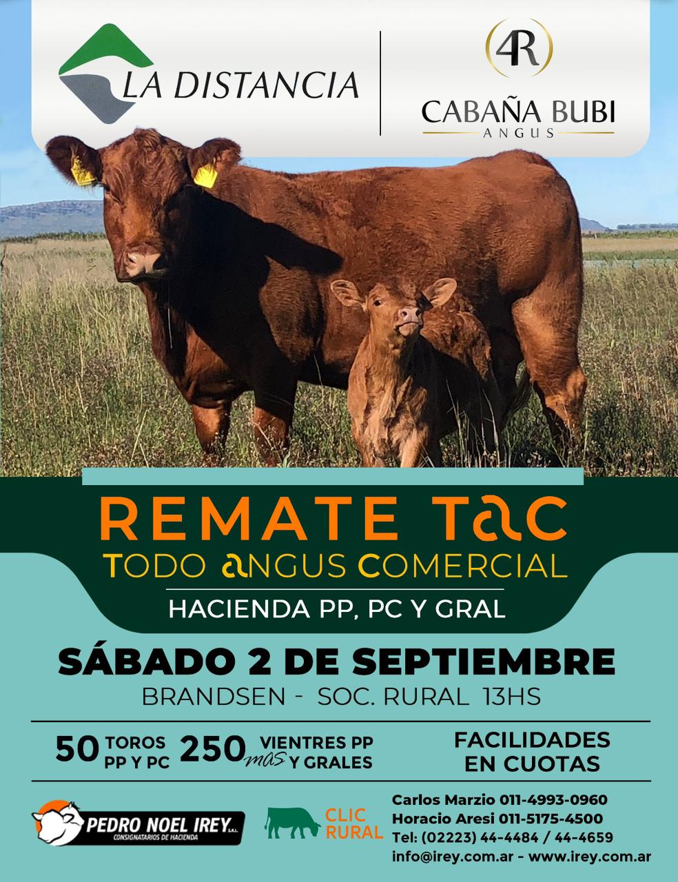 Afiche Remate TAC - Todo Angus Comercial