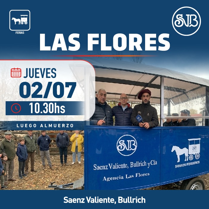 Feria en Las Flores