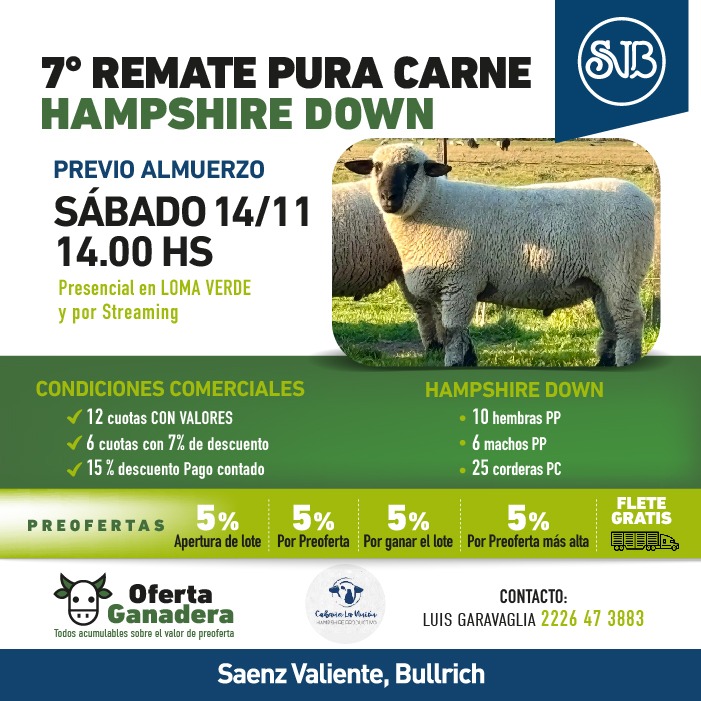 7° Rte. Pura Carne - H. DOWN