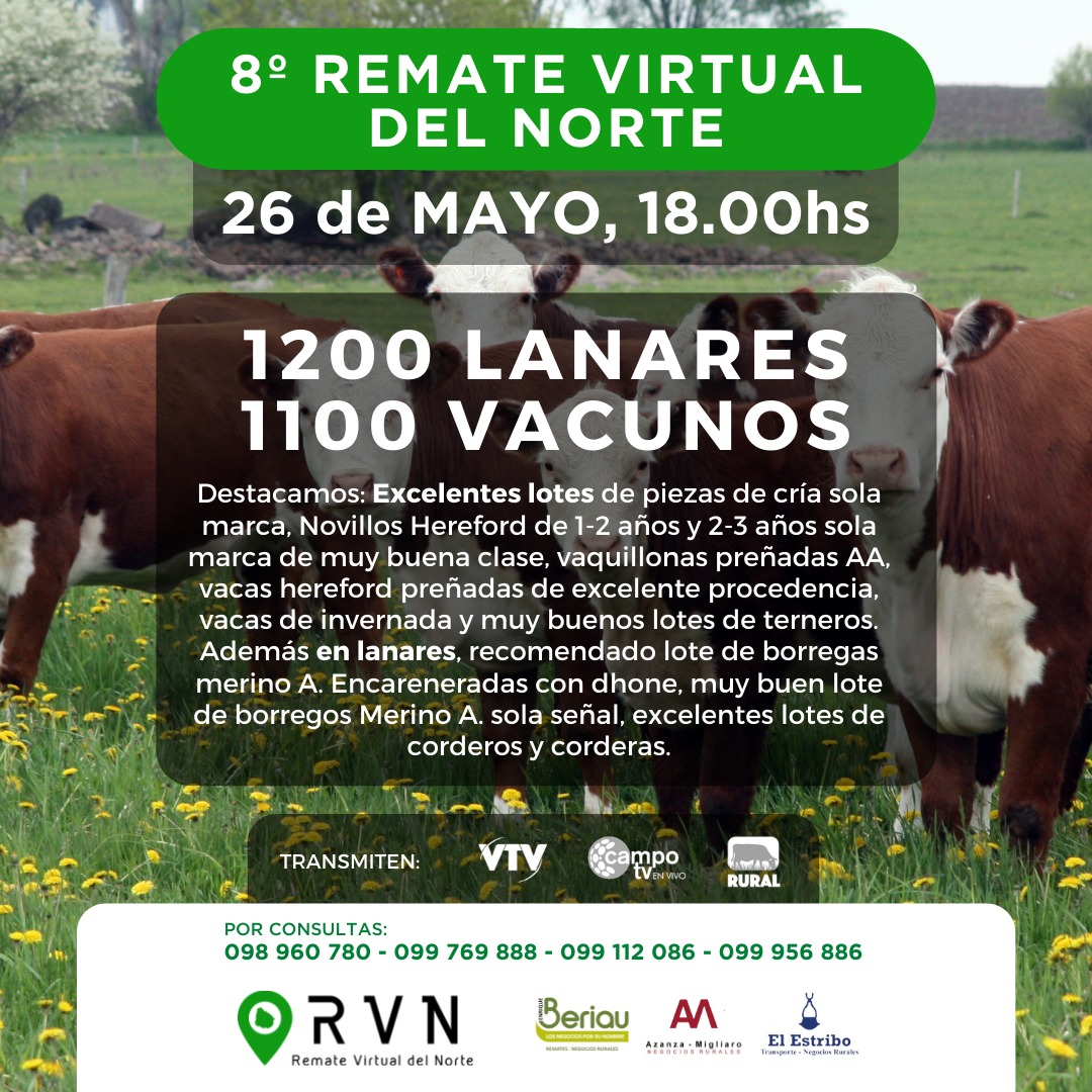 Afiche 8° Remate Virtual del Norte