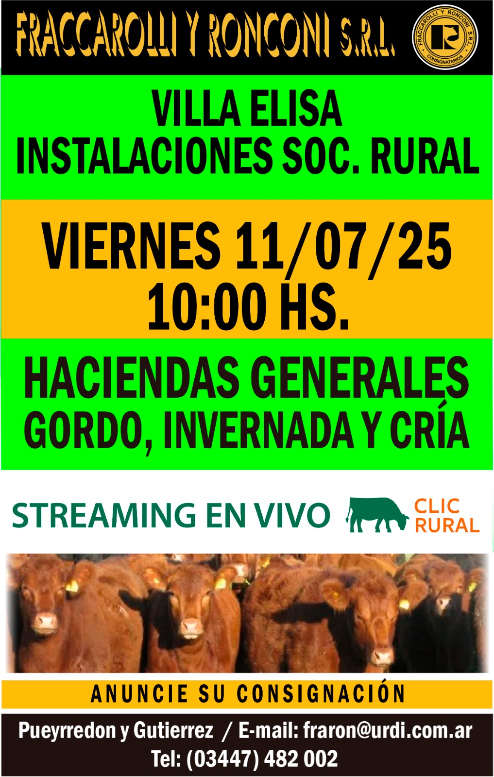 Remate 11 de Julio - Villa Elisa
