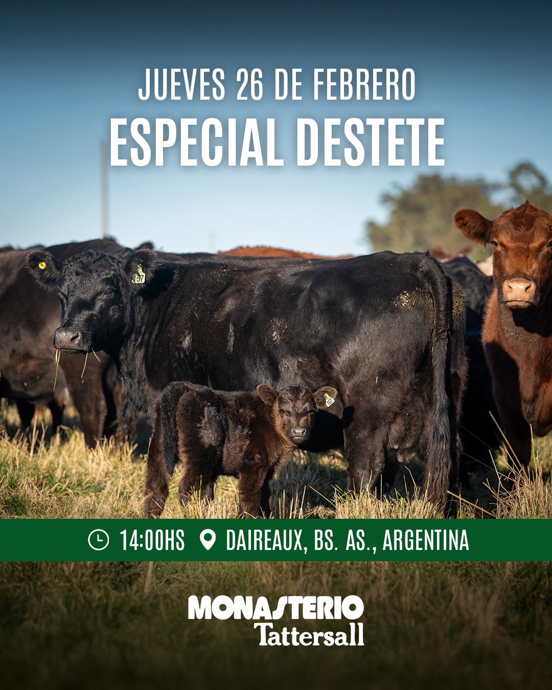 Remate Remate Físico Daireaux Especial por los 75 aniversario