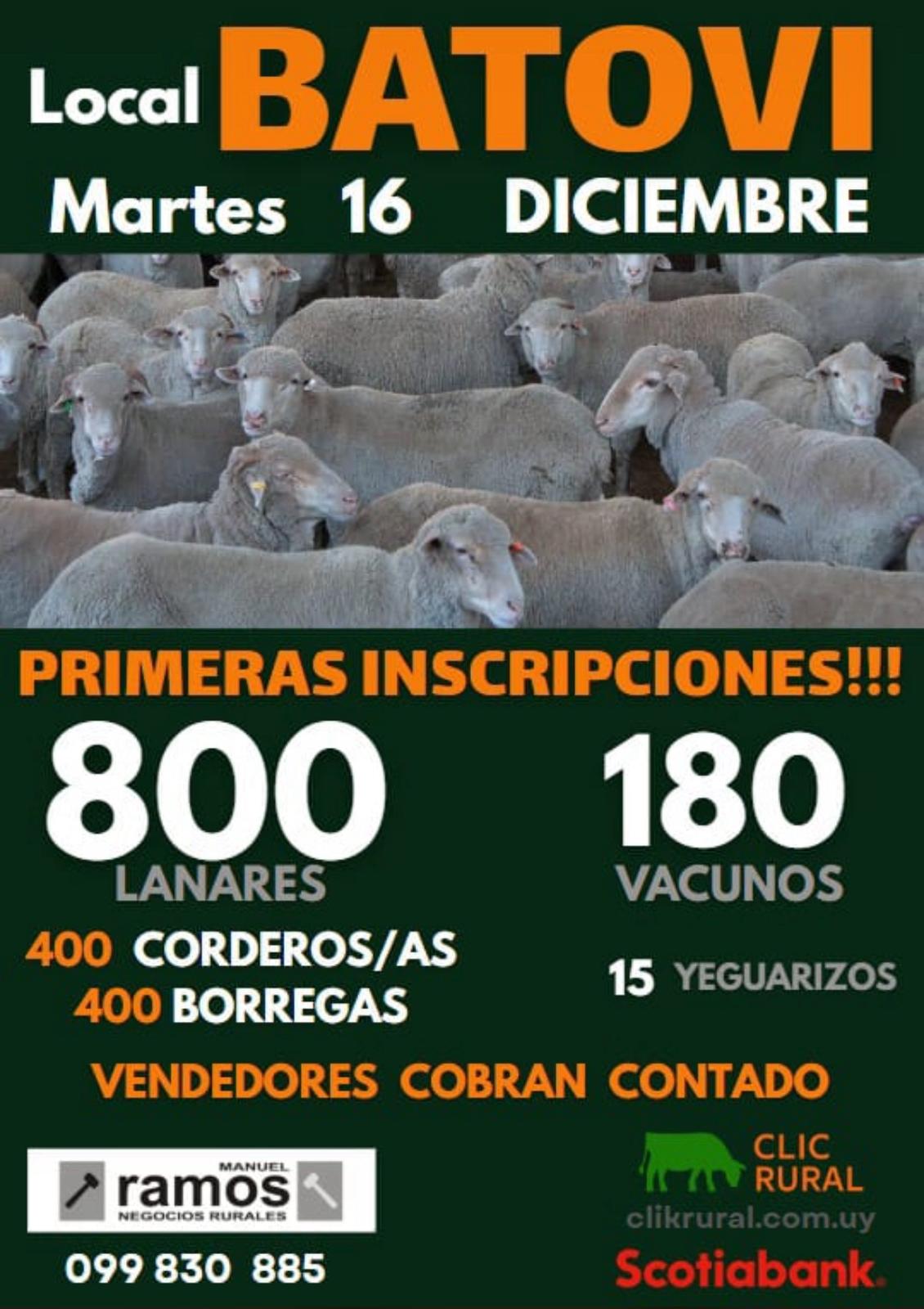 Remate Feria Mensual - Local Batovi