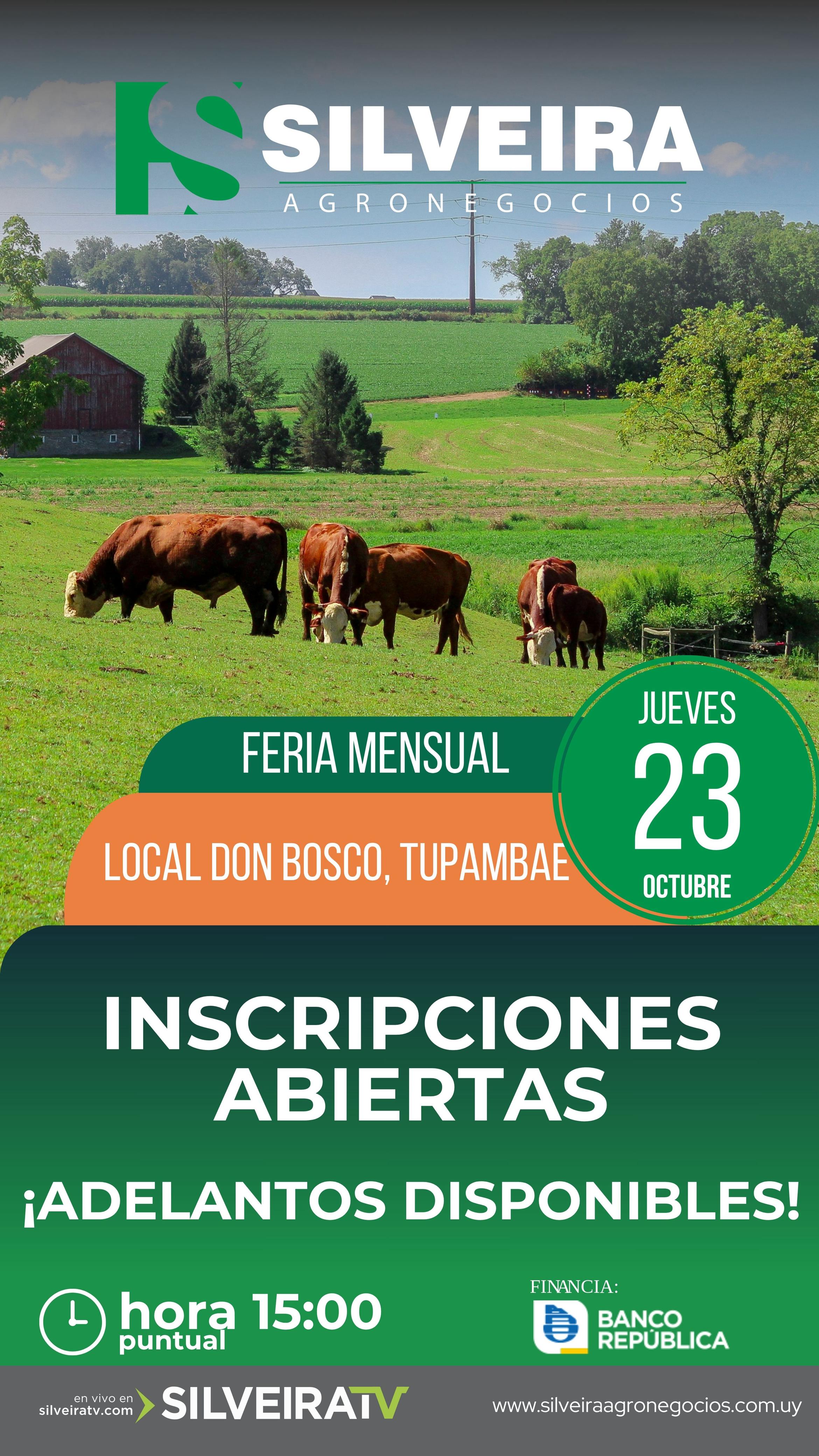 Feria Mensual