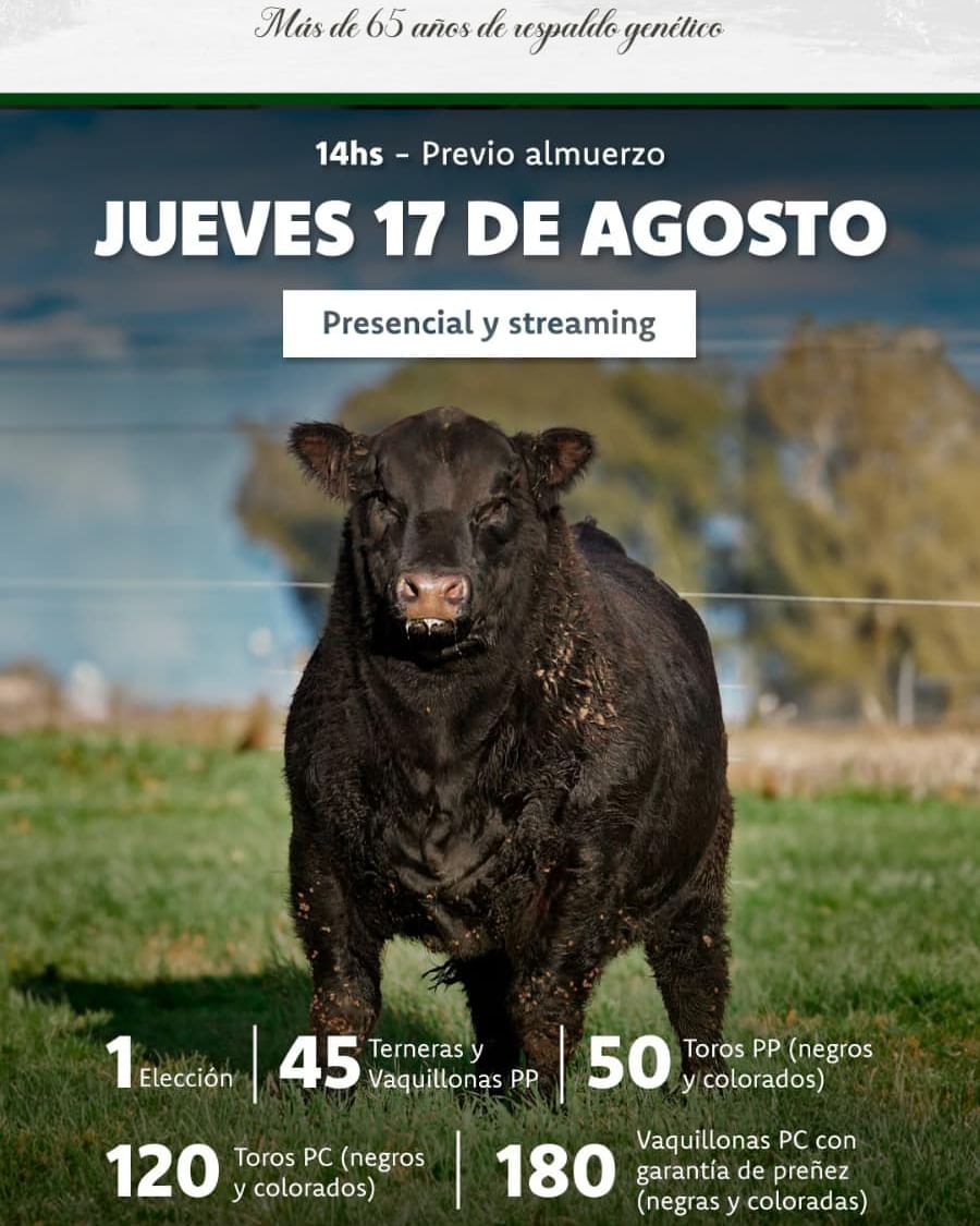 Afiche Remate 2023 Cabaña Tres Marías