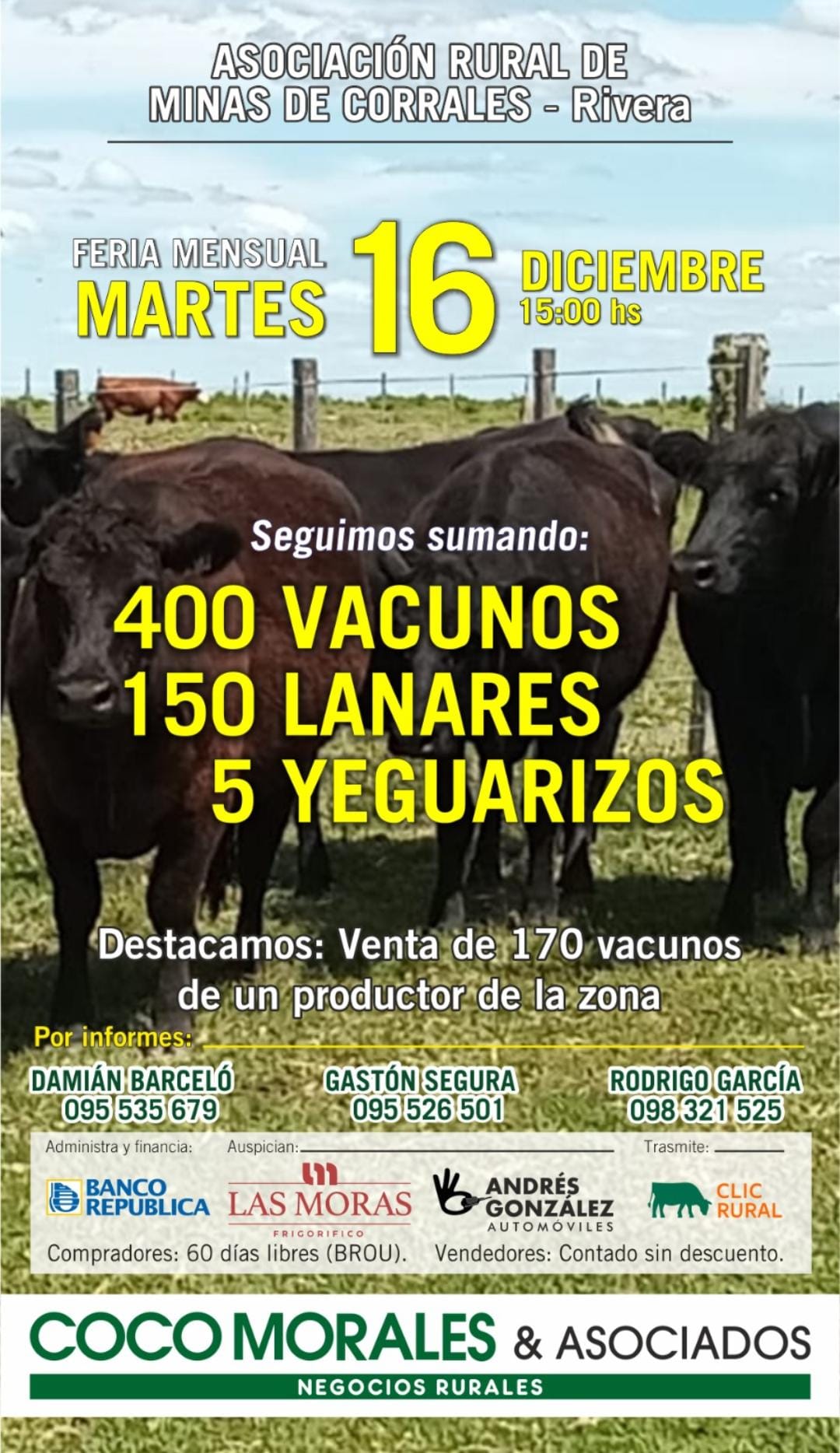 Remate Feria Mensual - Coco Morales