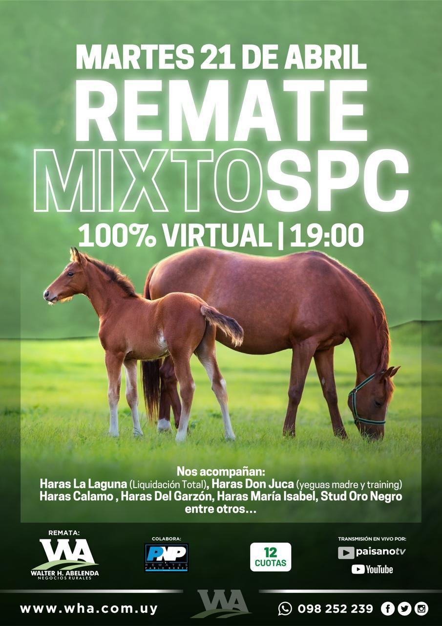 Remate Mixto SPC