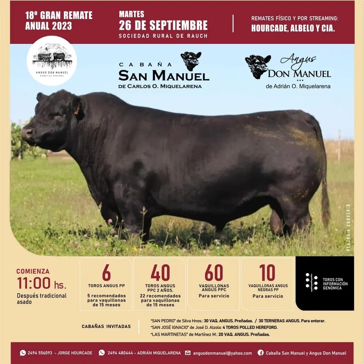 Afiche Remate Cabaña San Manuel y Don Manuel