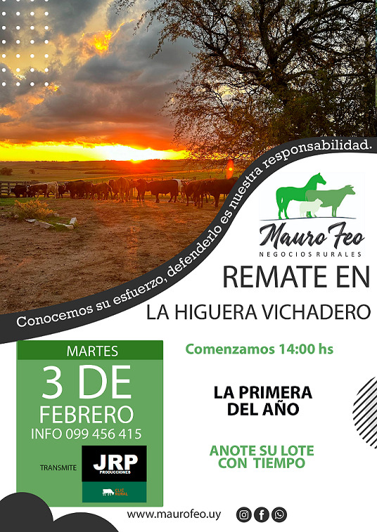 Remate 03 de Febrero - Local La Higuera - Vichadero