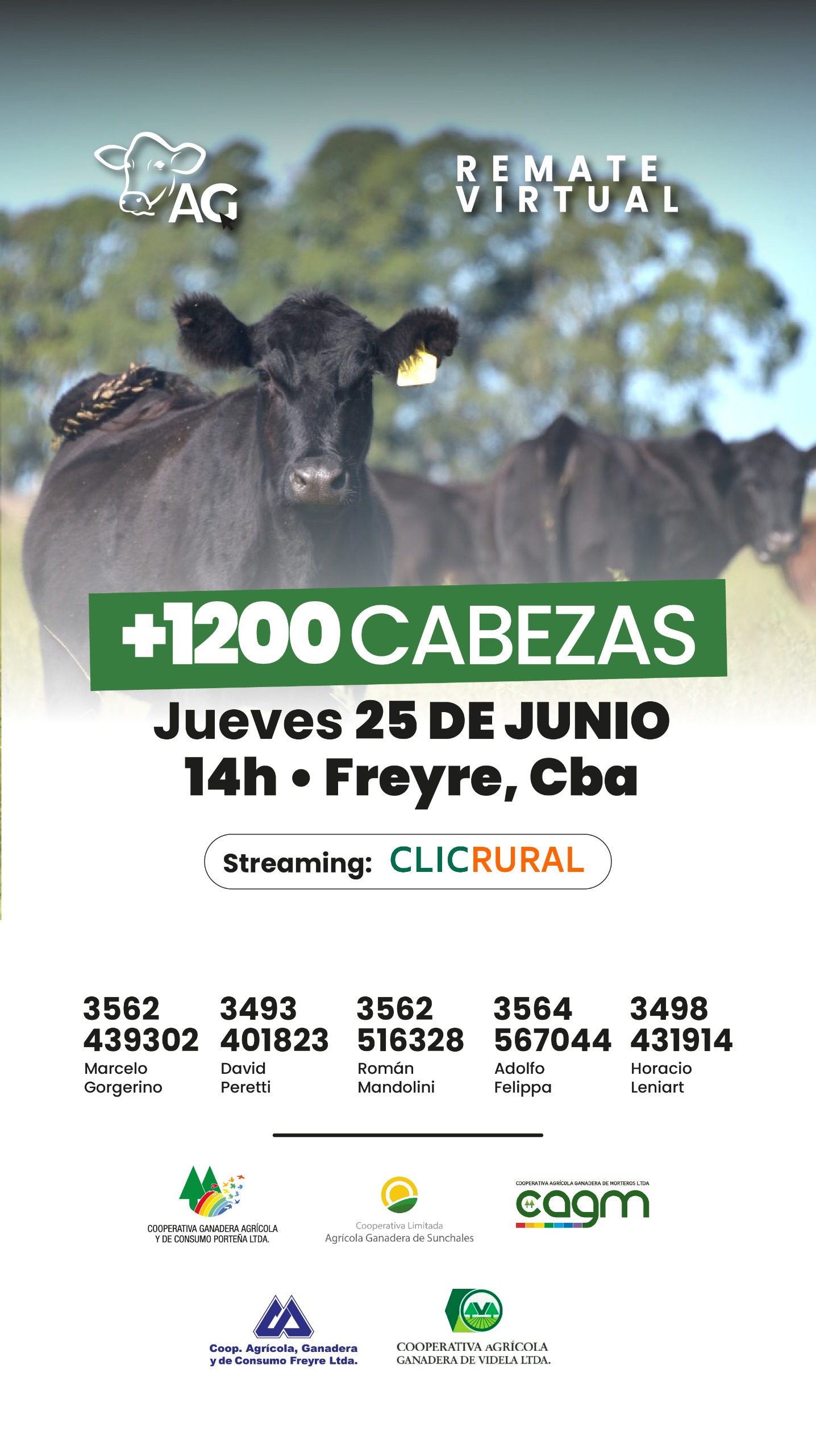 Remate Remate Virtual - Alianza Ganadera - Freyre Córdoba