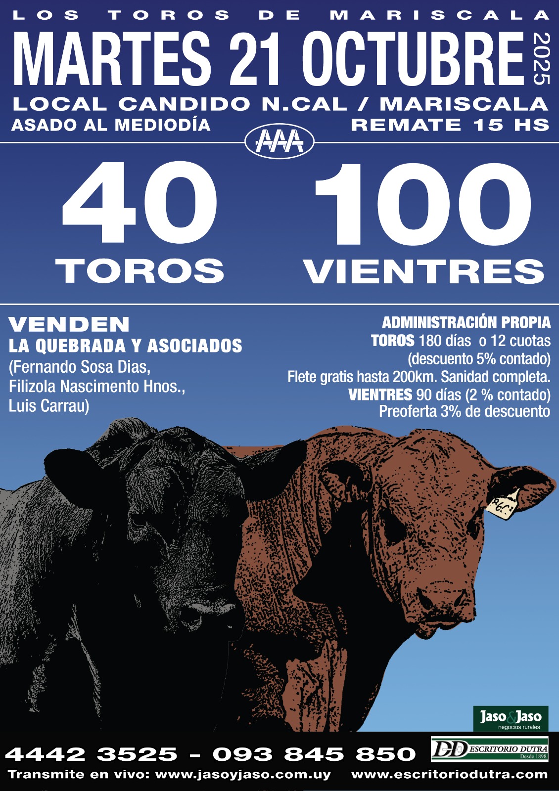 Toros en Mariscala