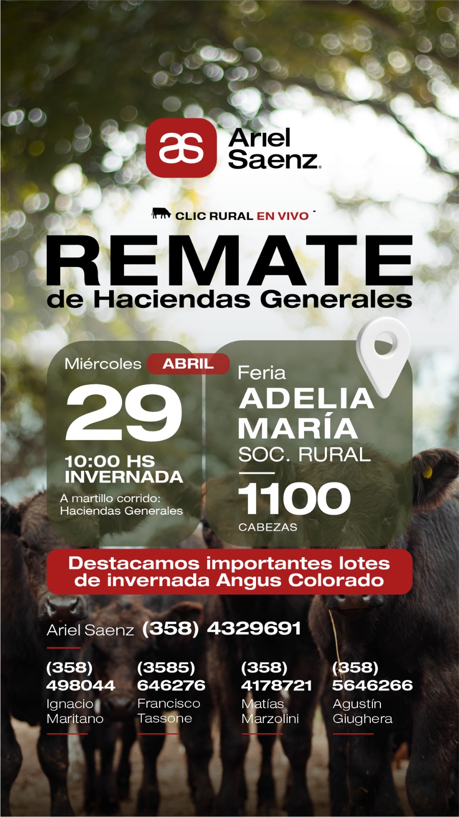 Afiche 29 DE ABRIL - Adelia María - Feria