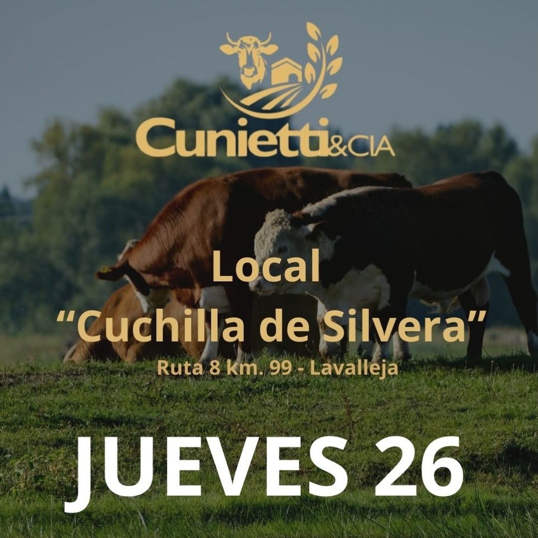 26 de Febrero - Local Cuchilla de Silvera