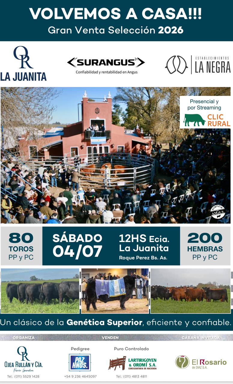 Remate Gran Venta Selección 2026