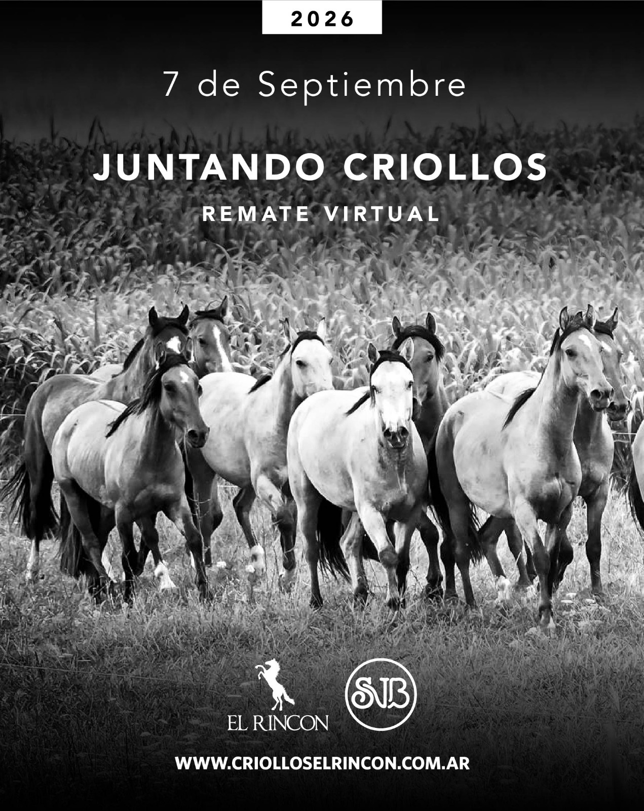 Afiche Juntando Criollos