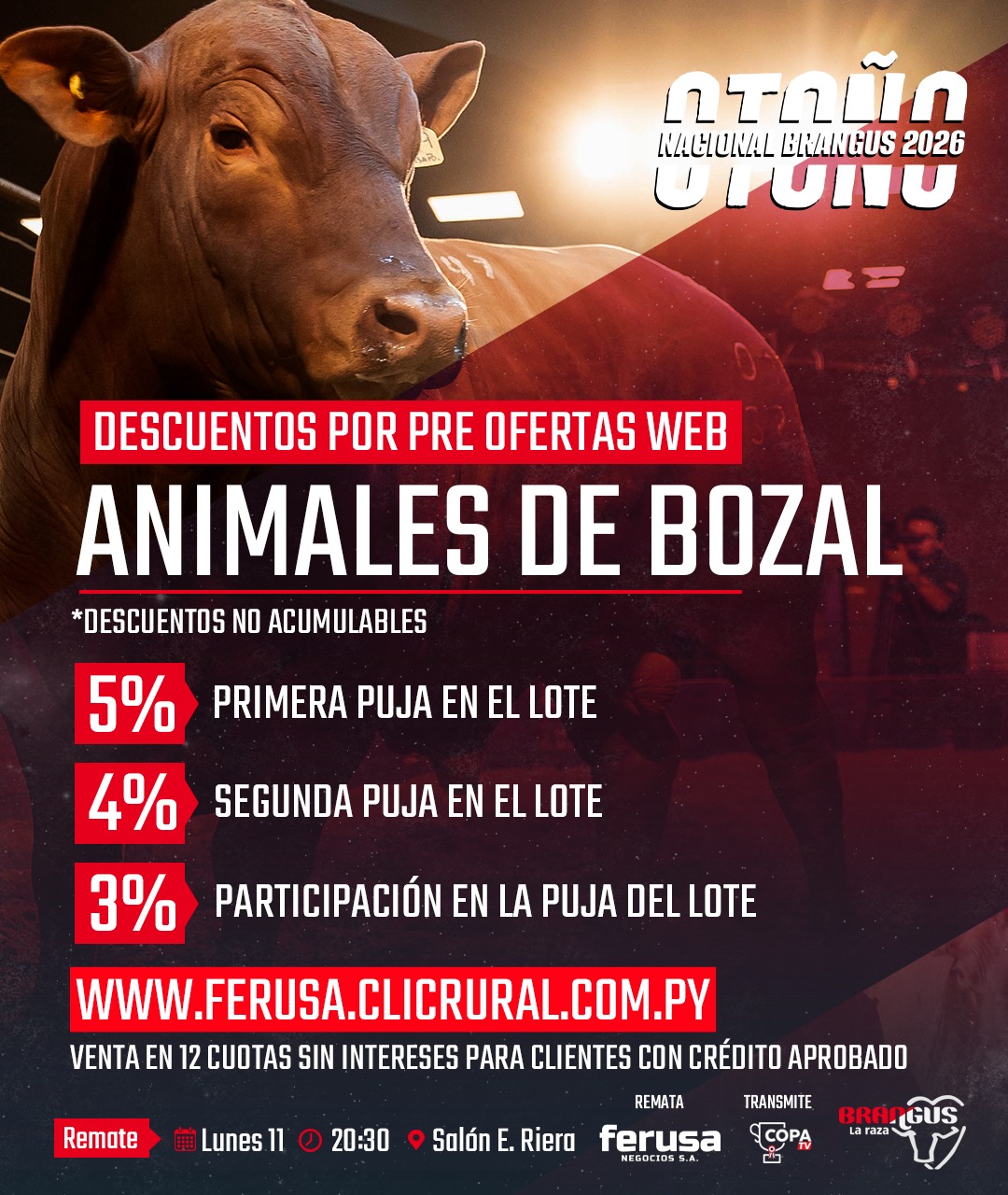 Remate Remate de Bozal – Nacional Brangus Otoño