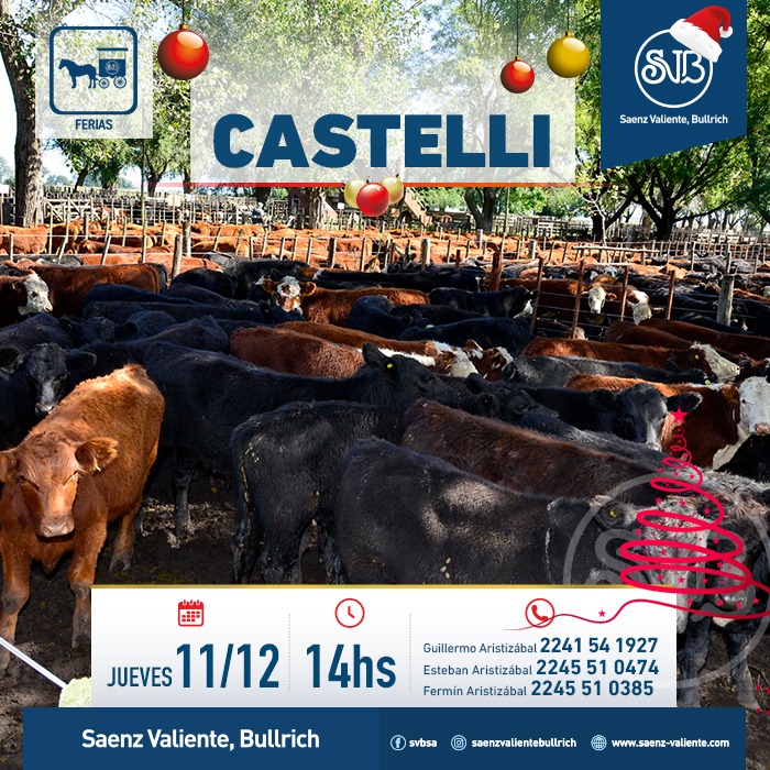 Feria en Castelli