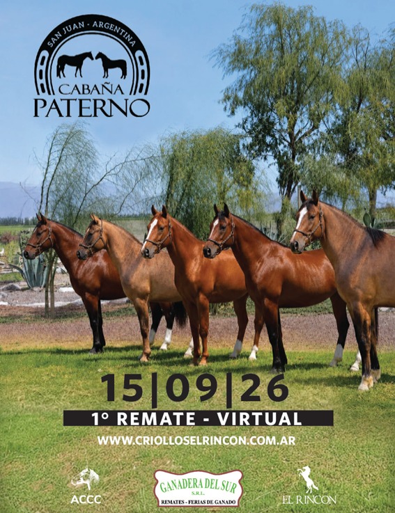 Remate Cabaña Paterno