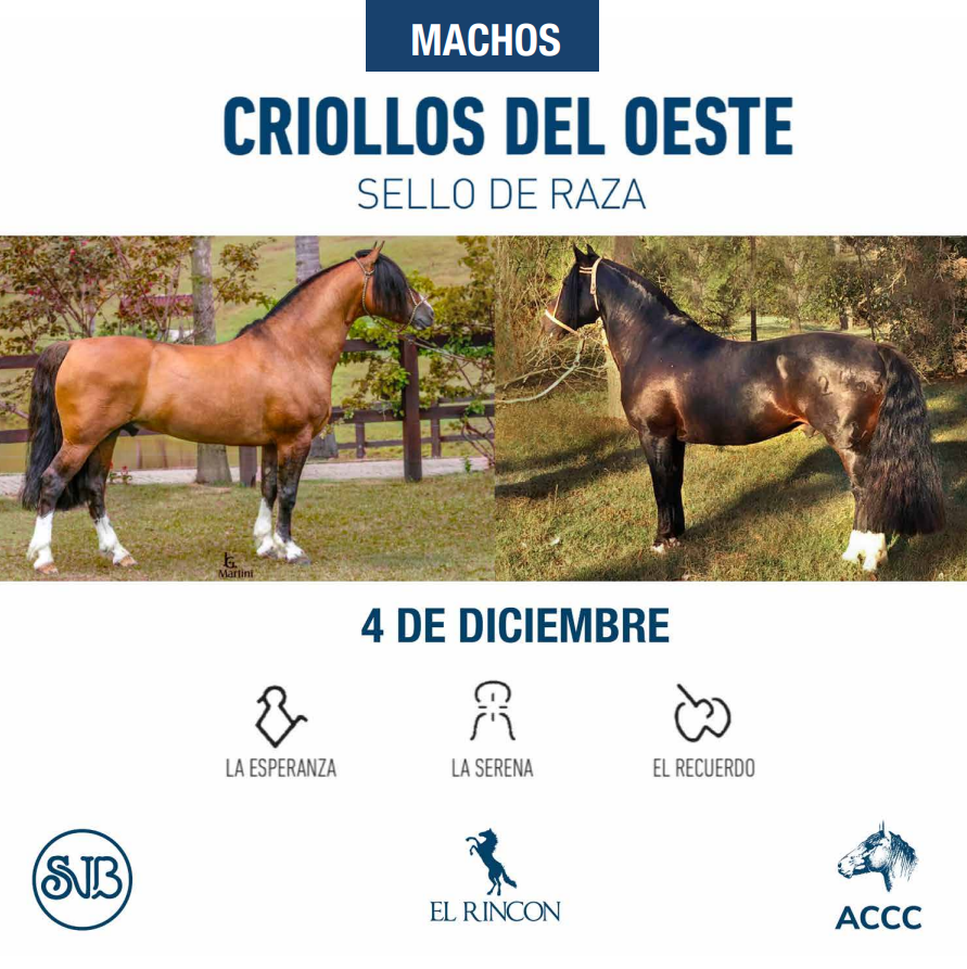 Criollos del oeste, sello de raza. Machos