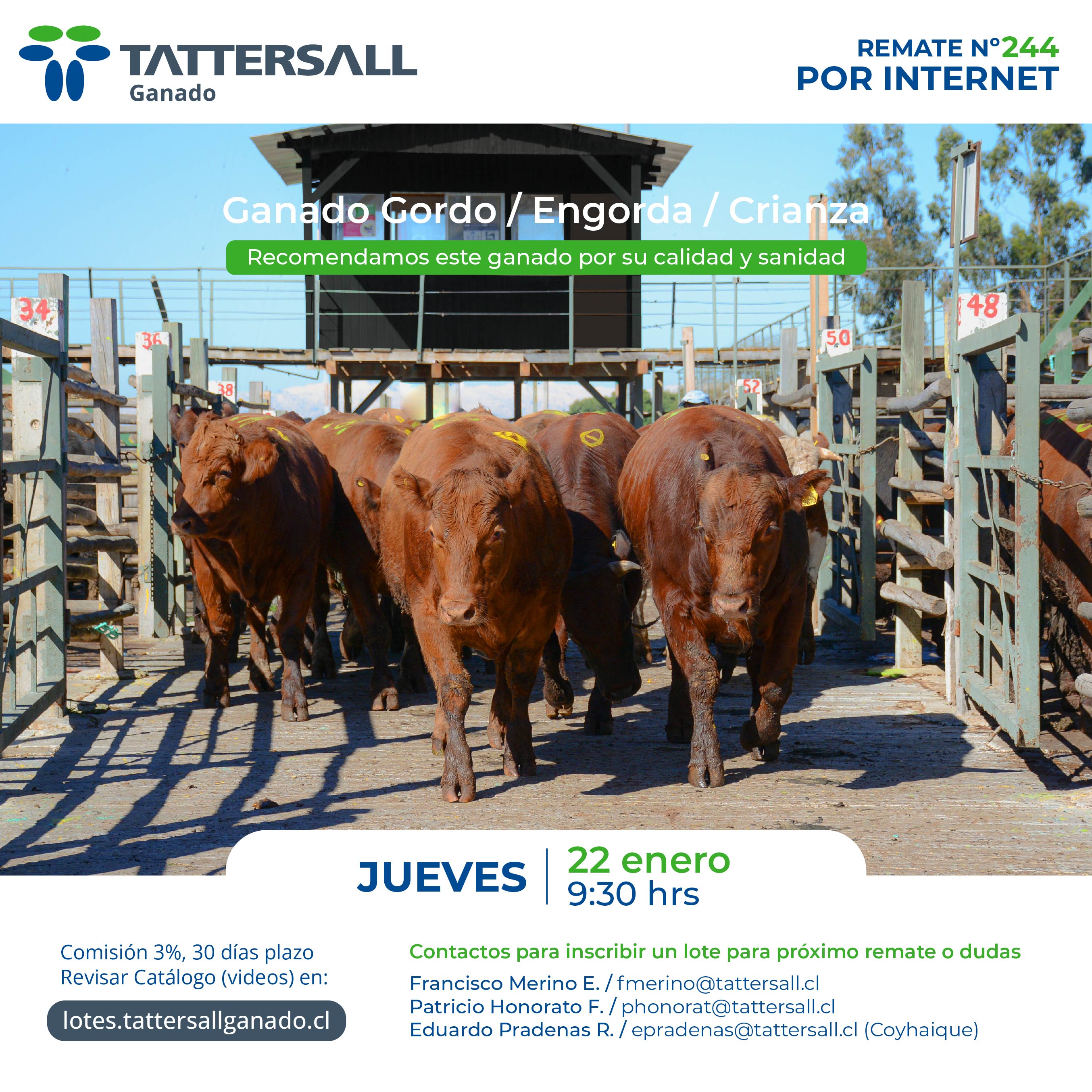 22 de Enero Ganado Crianza y Engorda