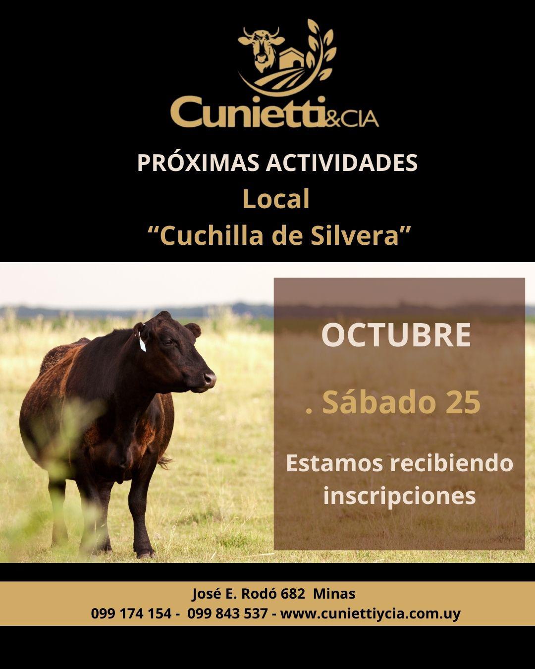 Remate Feria Mensual