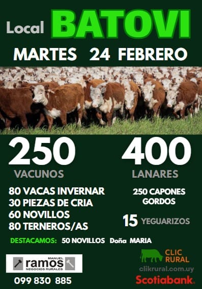 Feria Mensual - Local Batovi