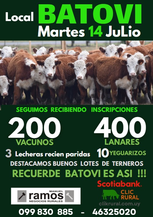 Remate Feria mensual - Local Batovi