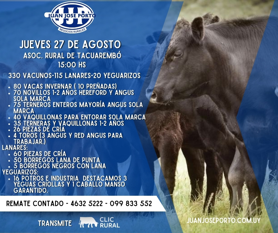 Feria mensual - Juan Jose Porto