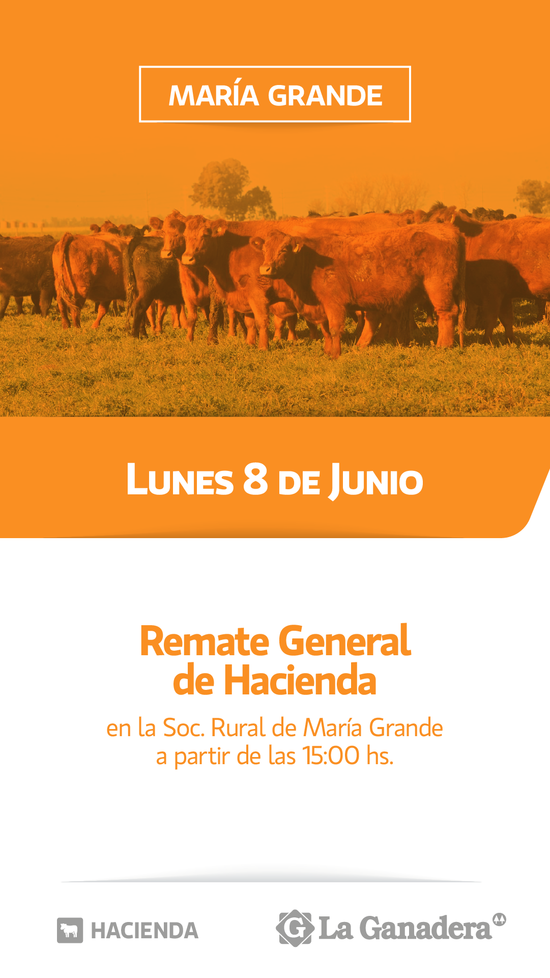 Afiche REMATE FERIA EN SOCIEDAD RURAL DE MARÍA GRANDE