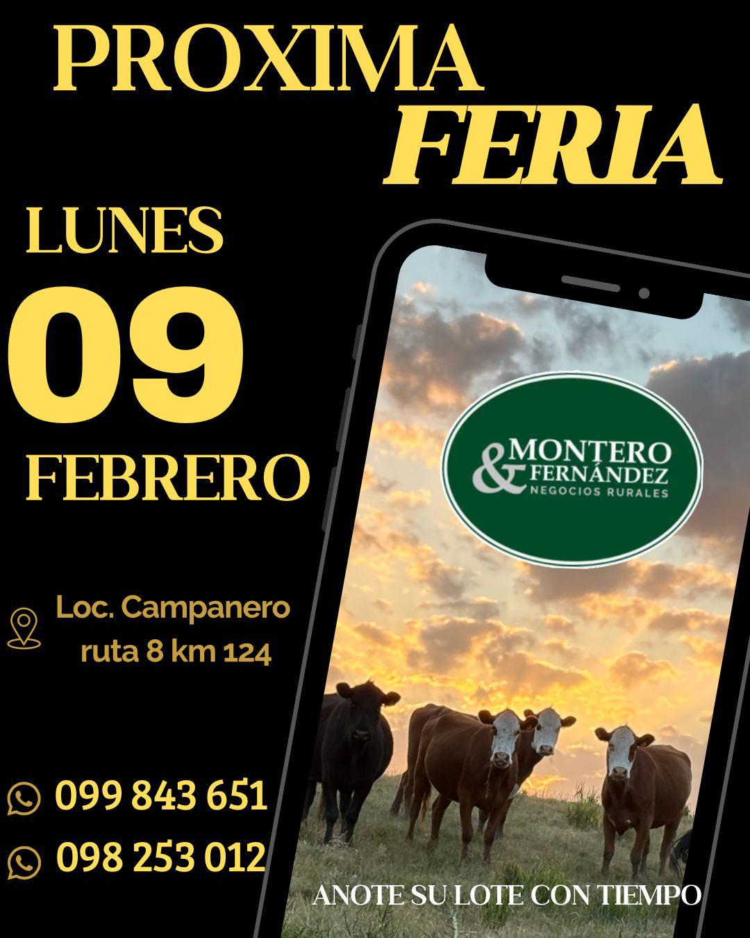 Remate Feria Mensual - Montero Fernandez