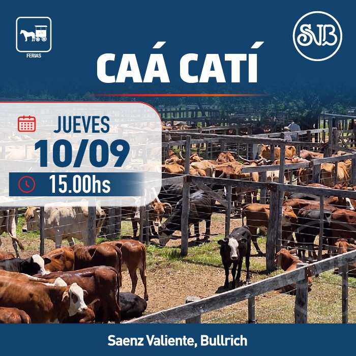 Feria en Caá Catí