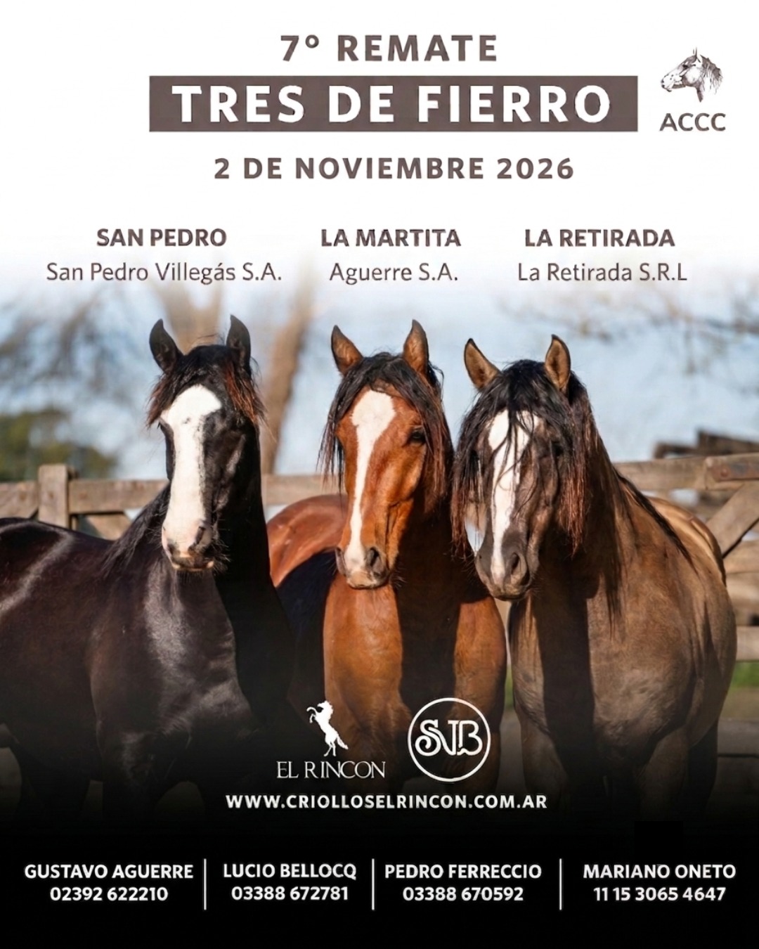Afiche Remate Tres de Fierro