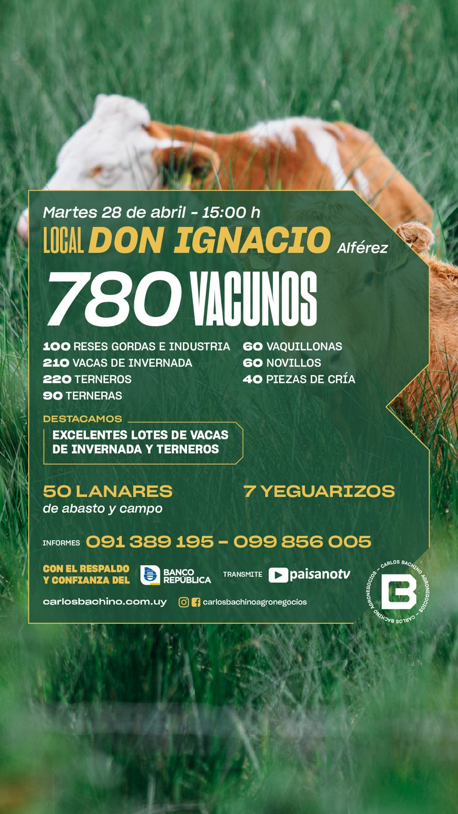 Feria Mensual - Carlos Bachino