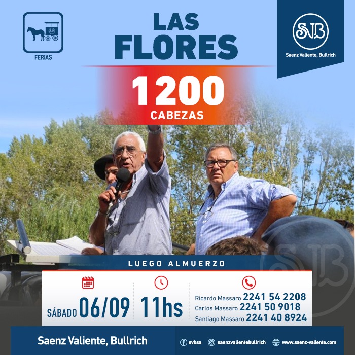 Feria en Las Flores