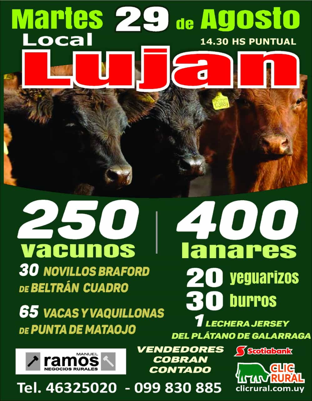 Afiche Feria - Escritorio Manuel Ramos en Lujan