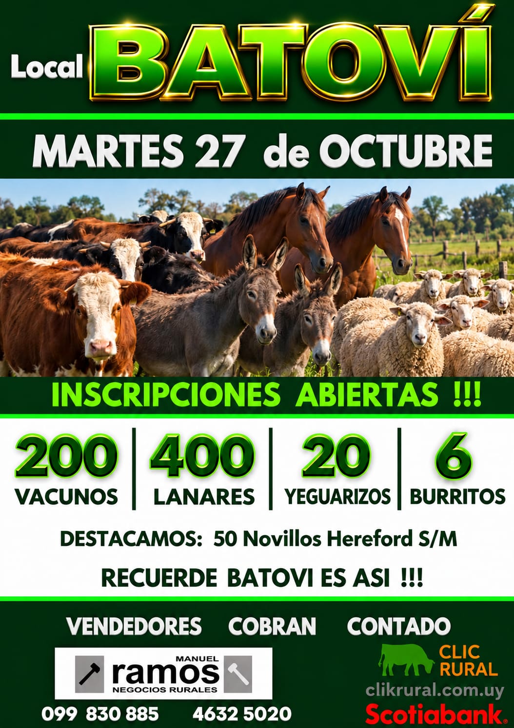 Afiche Feria mensual - Local Batovi