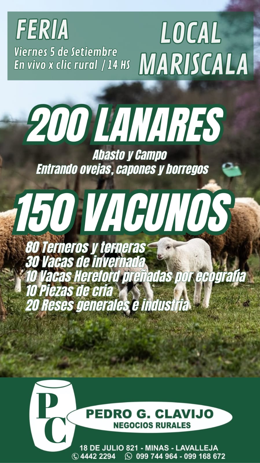 Afiche Feria Local Mariscala