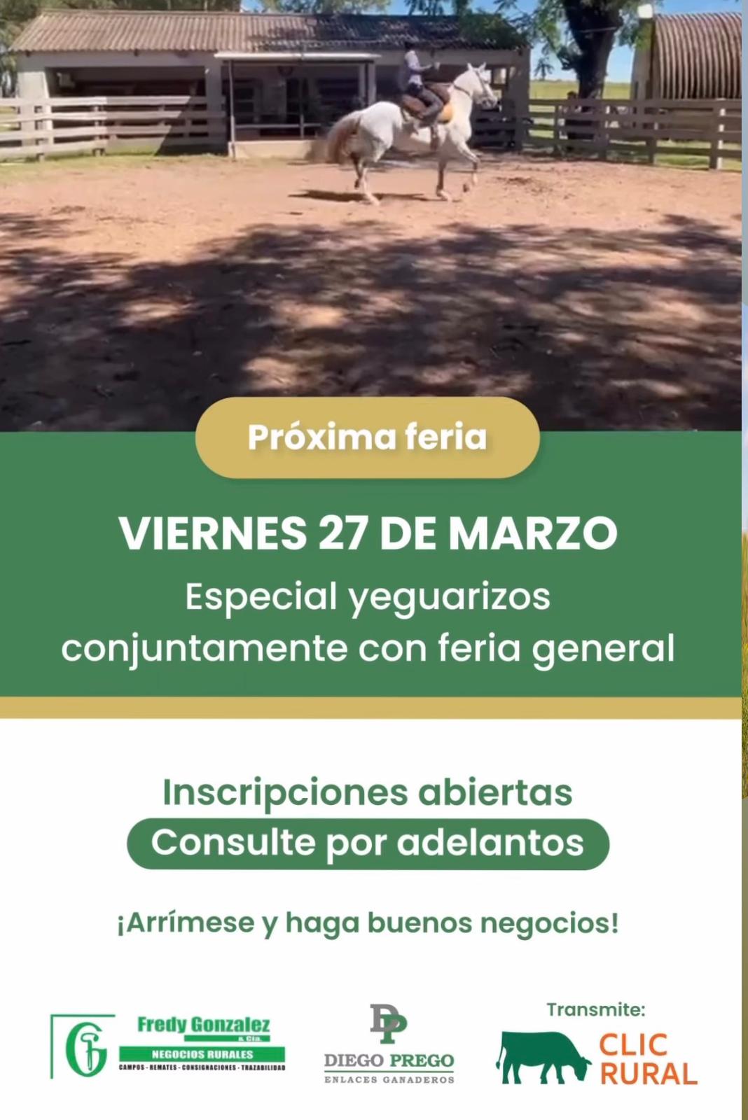 Remate Especial yeguarizos + Feria general