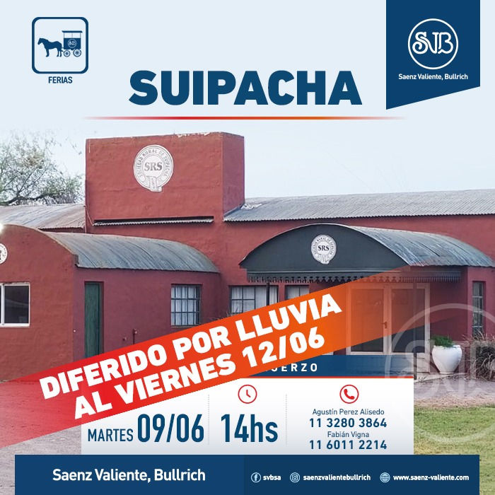 Feria en Suipacha