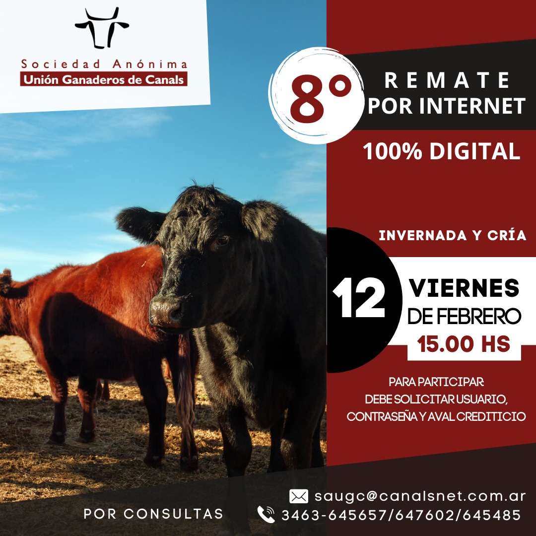 Afiche 8º Remate por Internet