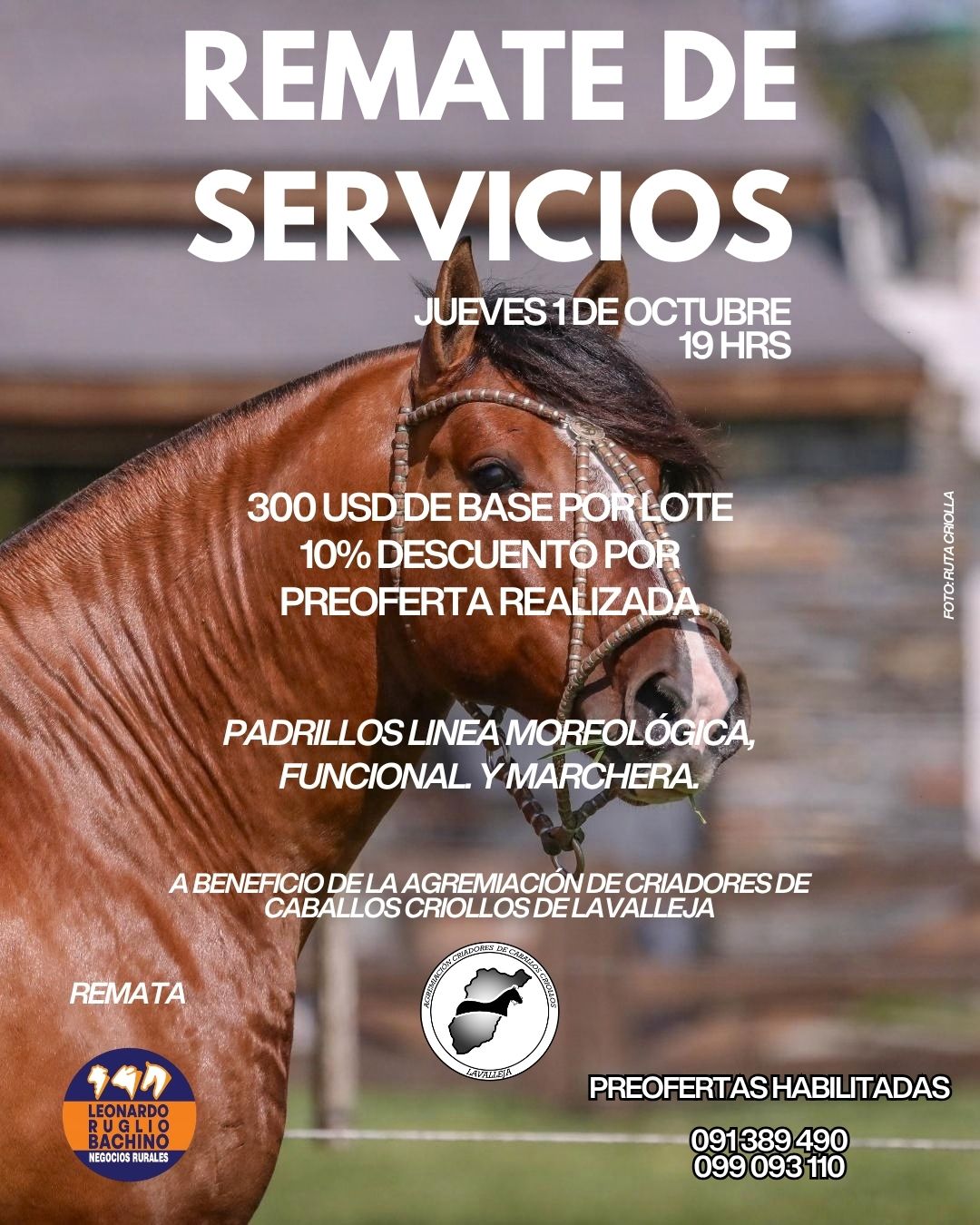 Afiche Remate de Servicios a Beneficio